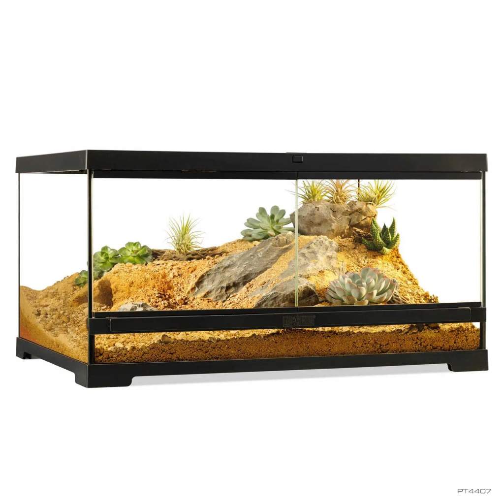 Pro Terrarium